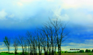 barrie visit 2011 293