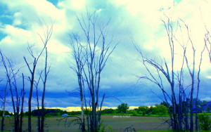 barrie visit 2011 295