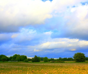 barrie-visit-2011-411