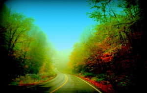 foggy day in forks of the credit 017