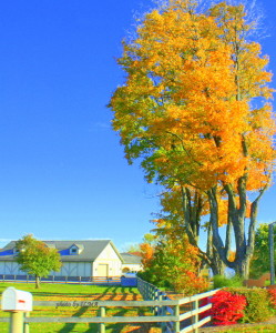 auries 2012 visit 121