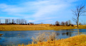 burks falls 2014,barrie,erin, stanley hoop 080