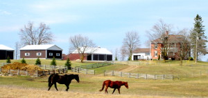burks falls 2014,barrie,erin, stanley hoop 100