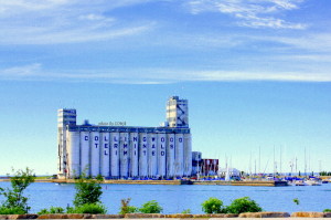 collingwood,summer2011 081