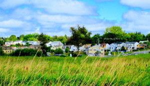 dragonfly park and broadway 110