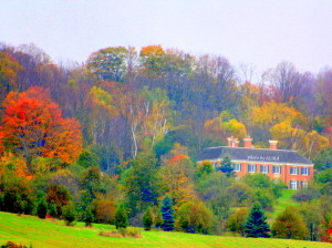 halloween 2011 and sunrises 129