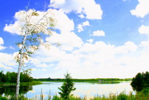 island lake2013 reflector studies 023-003